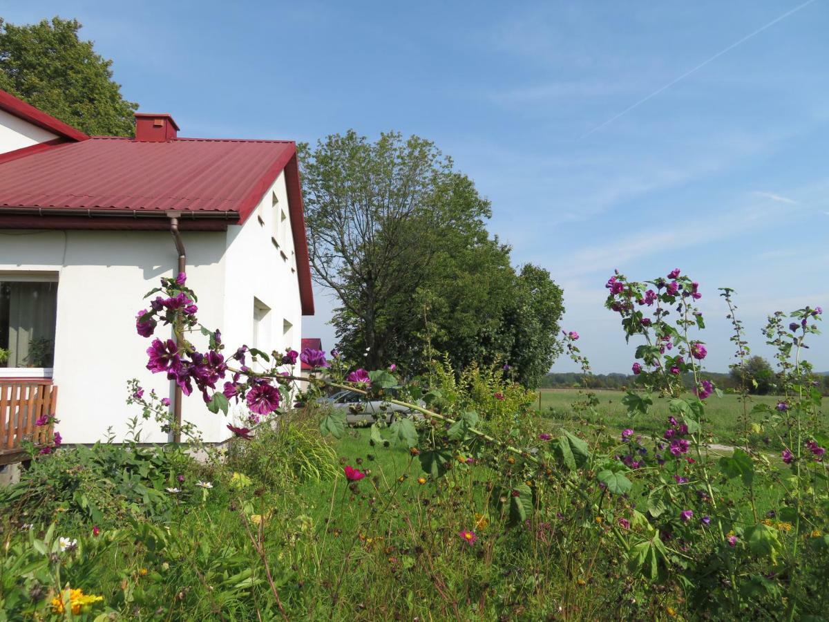 Agrocamp Villa Pawlowka  Eksteriør billede